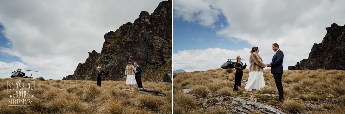 nz mountain garden spur